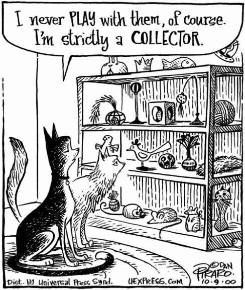 CatNeverPlayCollector.jpg.efab2770db59bb37cfc36263c7e7fcea.jpg