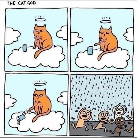 CatRain.jpg.10dbe73b5eadb7002ff9e9f74dc30739.jpg
