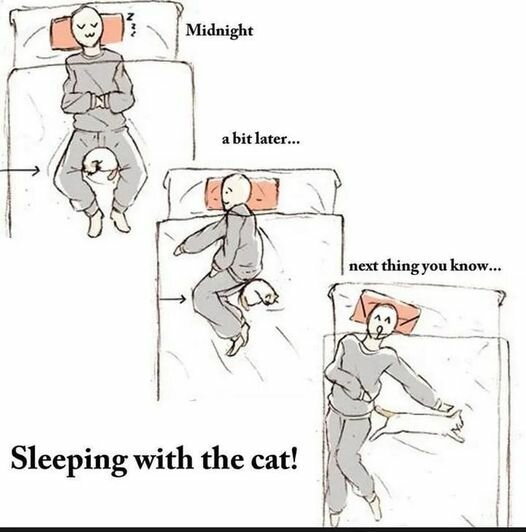 CatSleepingWith.jpg.a70b7135fed90e9e1af1e53742af3655.jpg