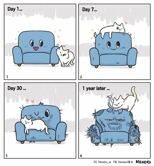 CatandCouch.jpg.4b2f8d5ff66c202108e7ff87f915d15b.jpg