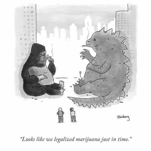 LegalizedMarijuana.jpg.bc6cb52860cab5212fd78e7dcb6470db.jpg