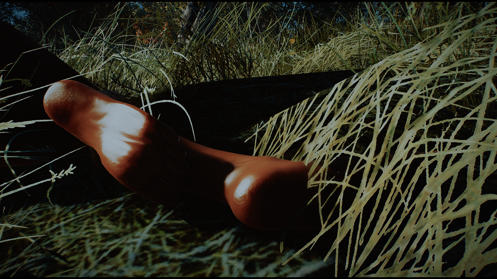 Photo7489.png.4fe9e66154e75025ac86b0f10711fdf3.png