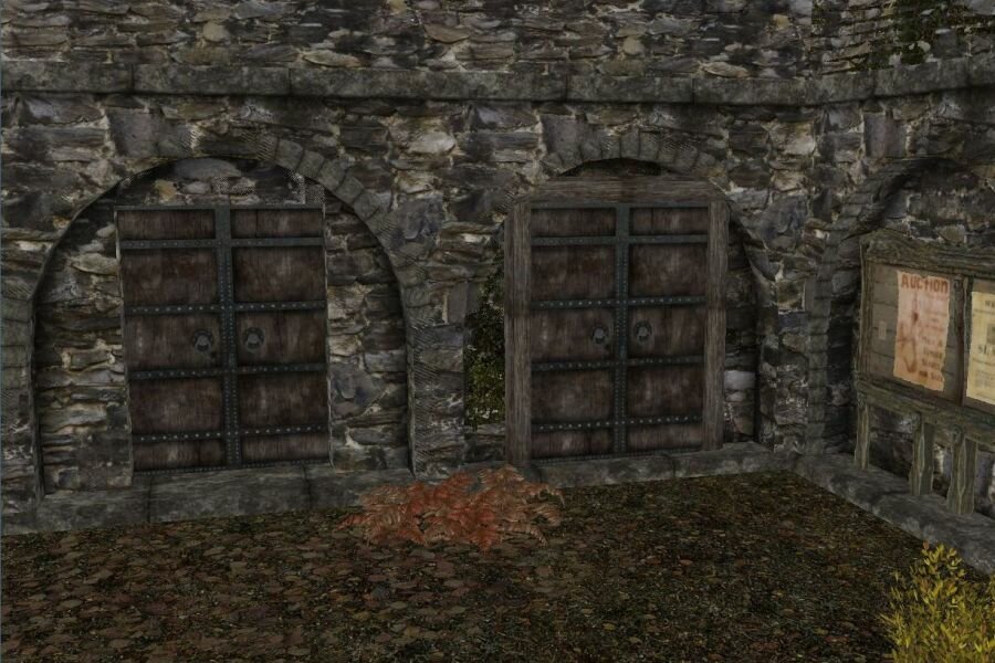 image.jpeg
