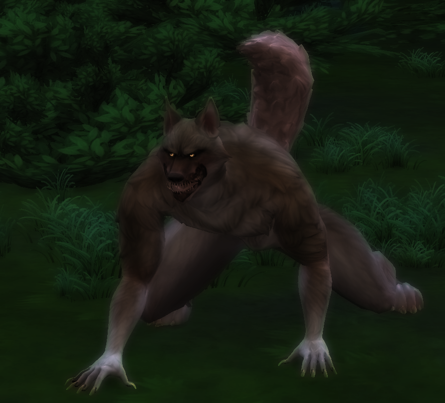 image.png.2c70a8da4dc22f3ff65b7d04cd6f2692.png