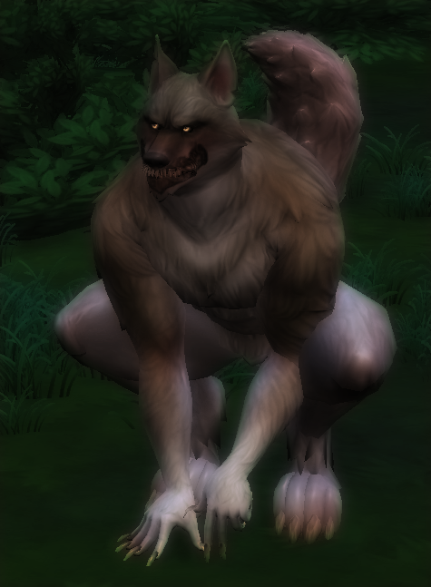 image.png.c5fdedcf2d9ce6d61c54ed7e27f244be.png