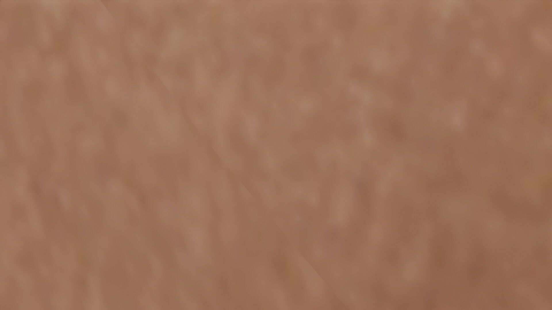 llab01.jpg.483349e38726d57d013a24b1224d8728.jpg