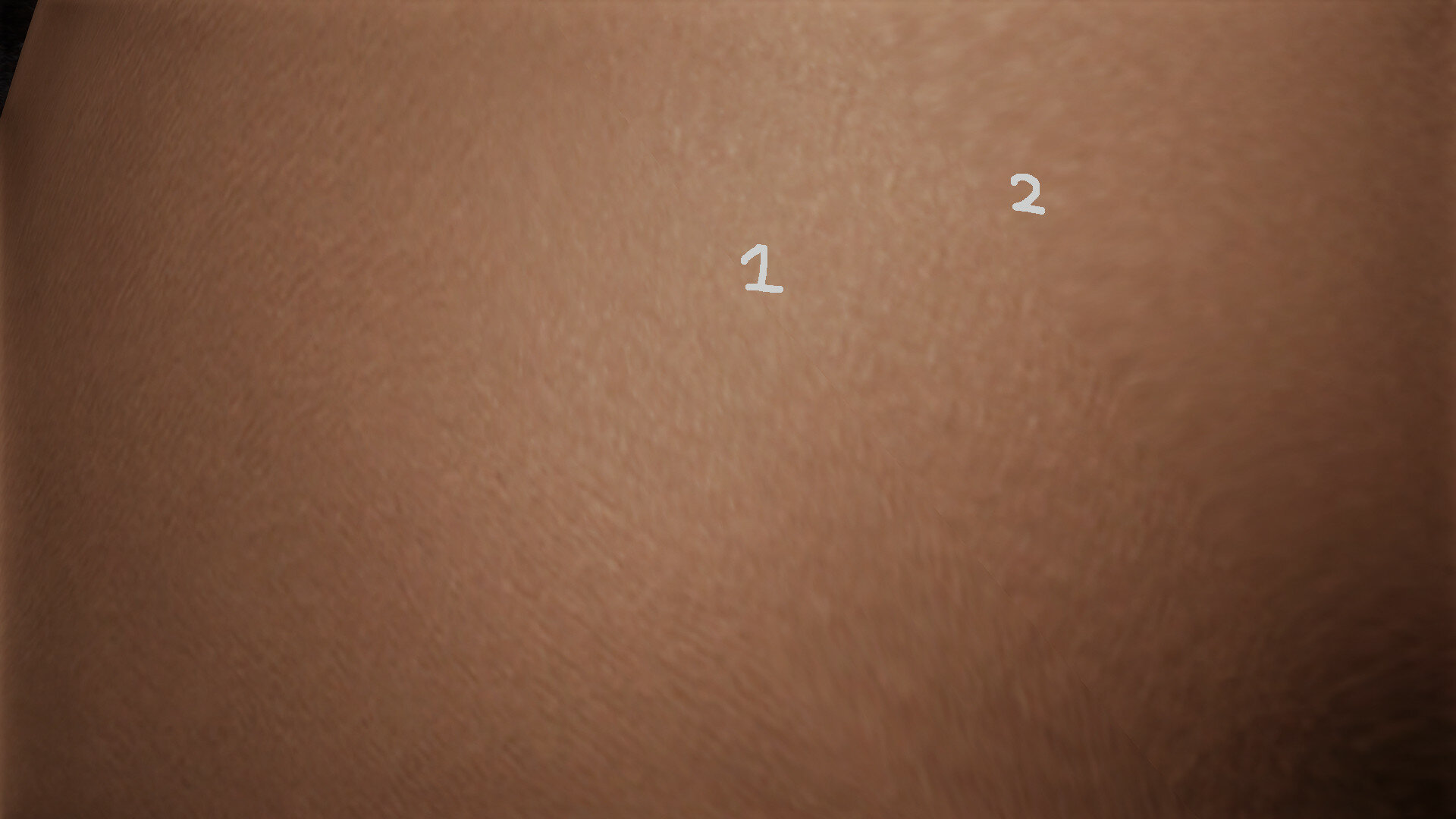llab2.jpg.c4eb3ef98d4eb8f5fb248d01817107ee.jpg