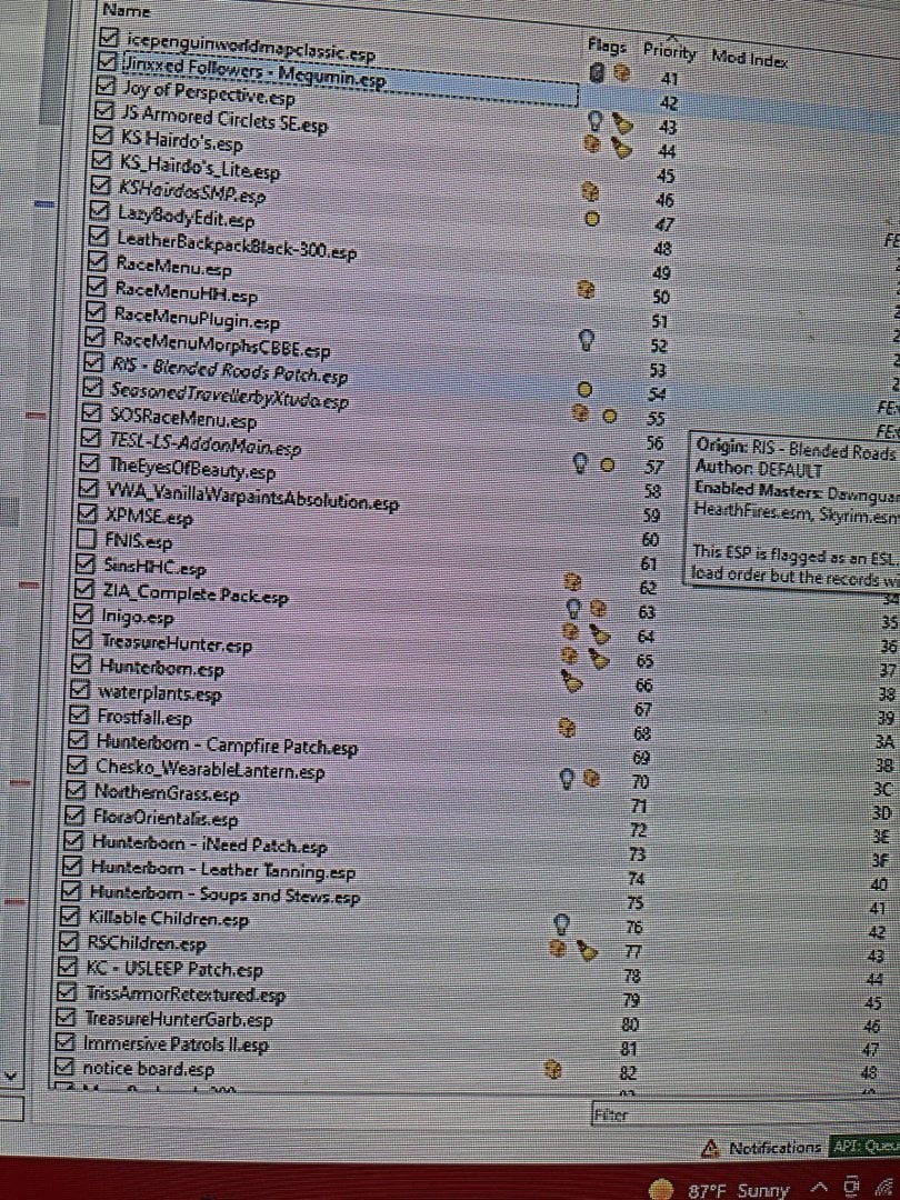 Load Order 2.jpg