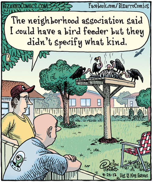 BirdFeederJoke.jpg.b65122f3b51b7631b33b568070c2d7d0.jpg