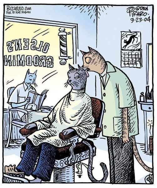 CatGrooming.jpg.18fad0d348a2b7302063ef32b435ae0f.jpg