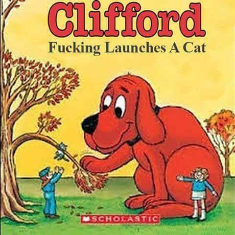 CatLaunch.jpg.52b8af6d066dab6fc604d4712edda991.jpg