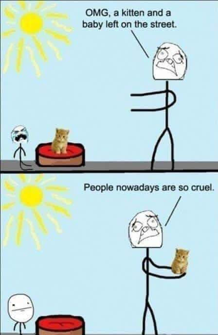 CatLeftOnTheStreet.jpg.d263a6285fe5febbadbdb2f495a96f8f.jpg