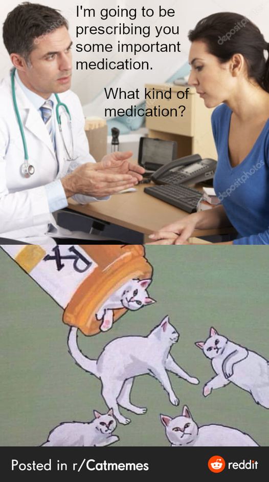 CatMeds.jpg.c5f2d86c58a4c376bc3924b9503043c6.jpg