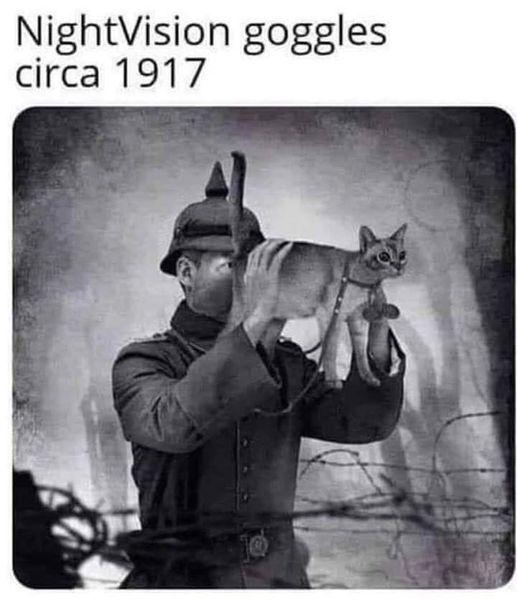 CatNVGs1917.jpg.12c0613e46c21ca97689b70a1d0185d0.jpg
