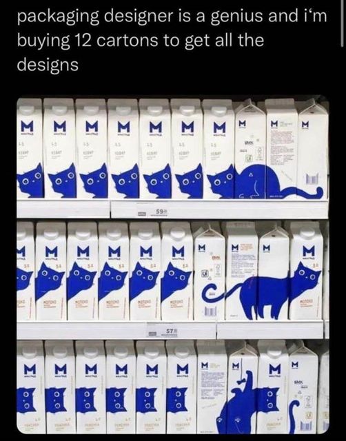 CatPackagingDesign.jpg.d15f22e91b62774007d3a6b8b3195050.jpg