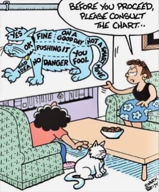 CatPettingChart.jpg.48858a505709e825ea3111b34e4c64f2.jpg