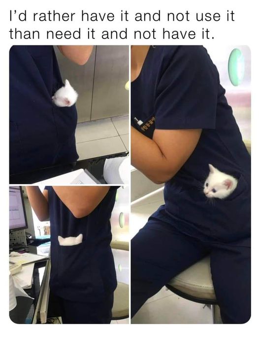 CatRatherHaveandNotNeed.jpg.c1300c7c1a0af9f04cedac7848382681.jpg
