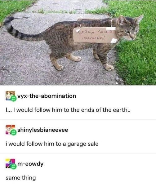 CatSandwichSign.jpg.9a17a10d2c820f854b3cf8e50bf1e1e2.jpg