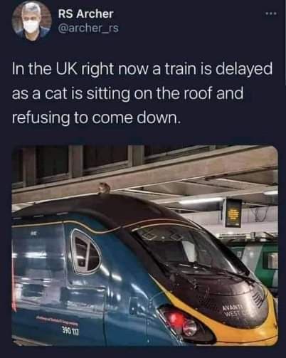 CatTrainDelay.jpg.665be0334e4fc1d532b440d88fa8c344.jpg