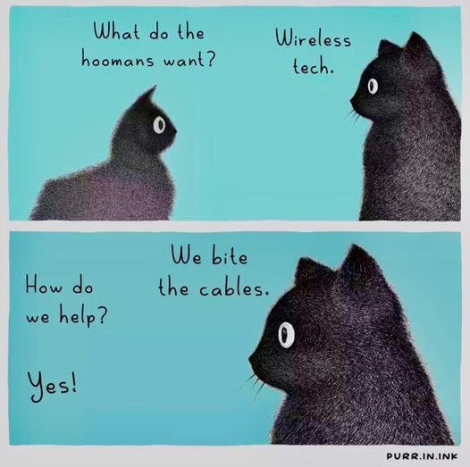 CatWireless.jpg.f20c900cda650facbefca6428d46b3de.jpg