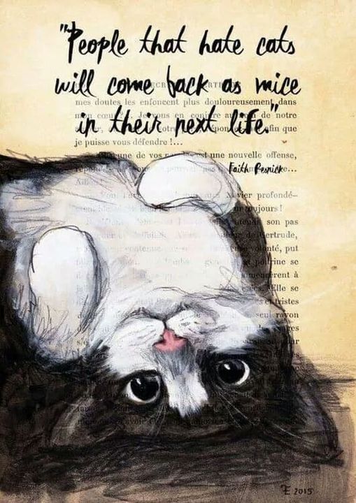 CatsMice.jpg.a717b771f86b3c289a717ef3dc7e25ae.jpg