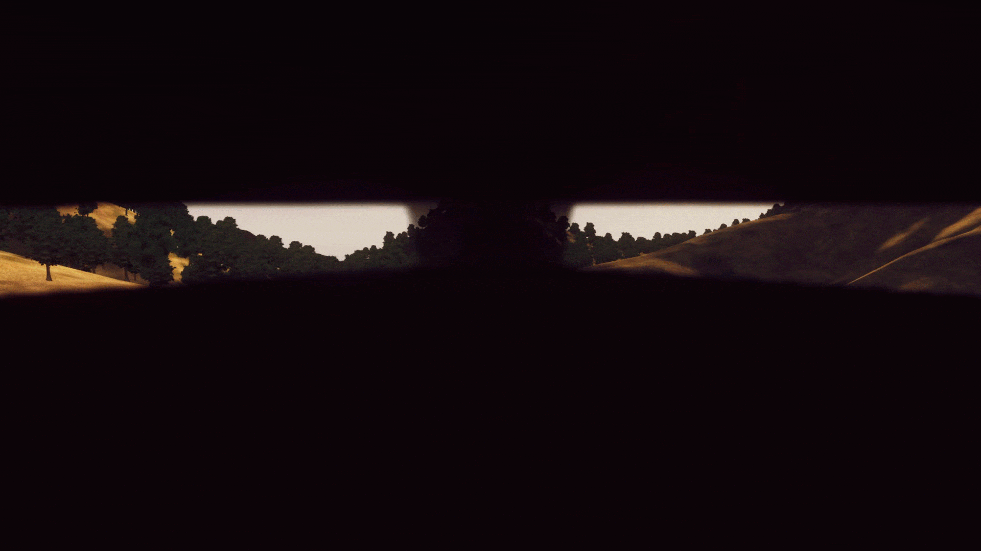 FOVSallet.gif.3cfd3793cfe5a400657a7961b7e3f5ad.gif