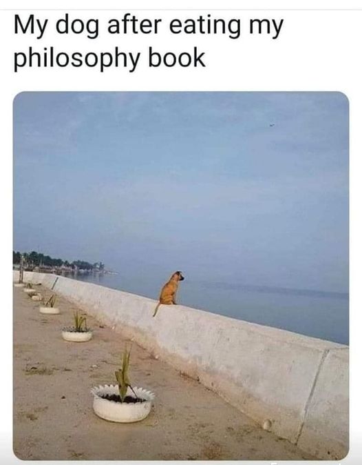 PhilosophicDog.jpg.dcfb474aafd2e1190e52f76b0c74f412.jpg