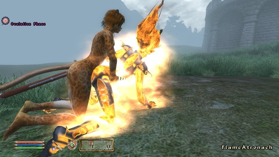 ScreenShot440.jpg
