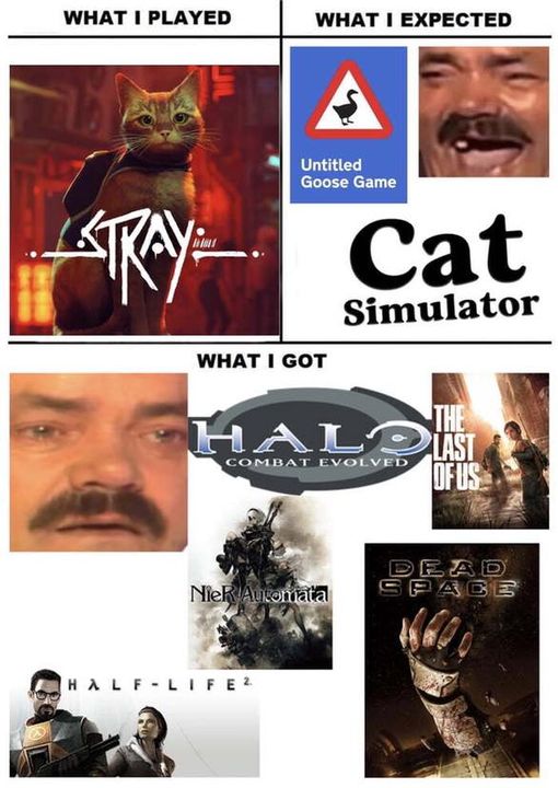 StrayCatSimulator.jpg.13219eb19a6b37b3195c4dc50c2386e6.jpg