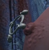 image.jpeg.416f6ba5cb61bcdf93273d5f44aad065.jpeg