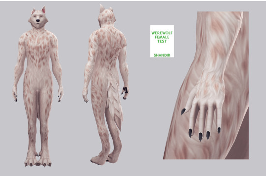 image.png.1e9ec774bdb7cebec5a8aaa8d46c37b3.png