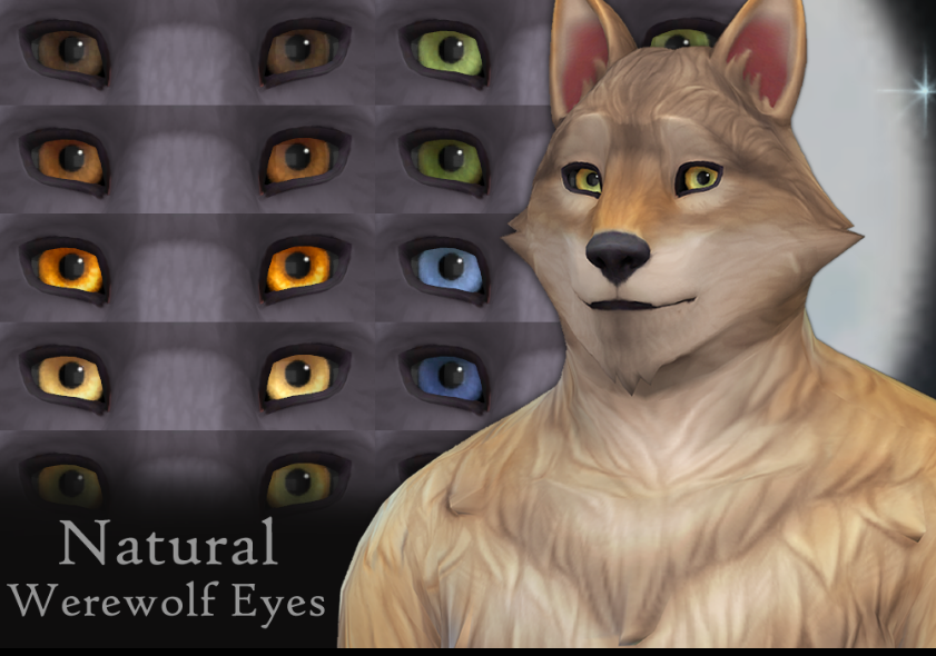 image.png.5b7527cc65ca99e829d6c79e2d1ed4bb.png