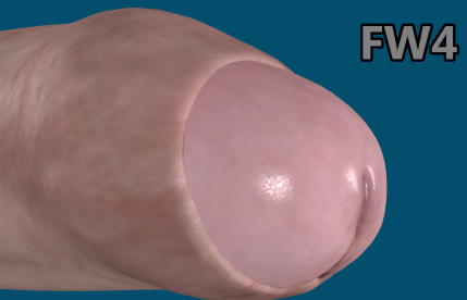 vgnlsschlngfw43bamini.png