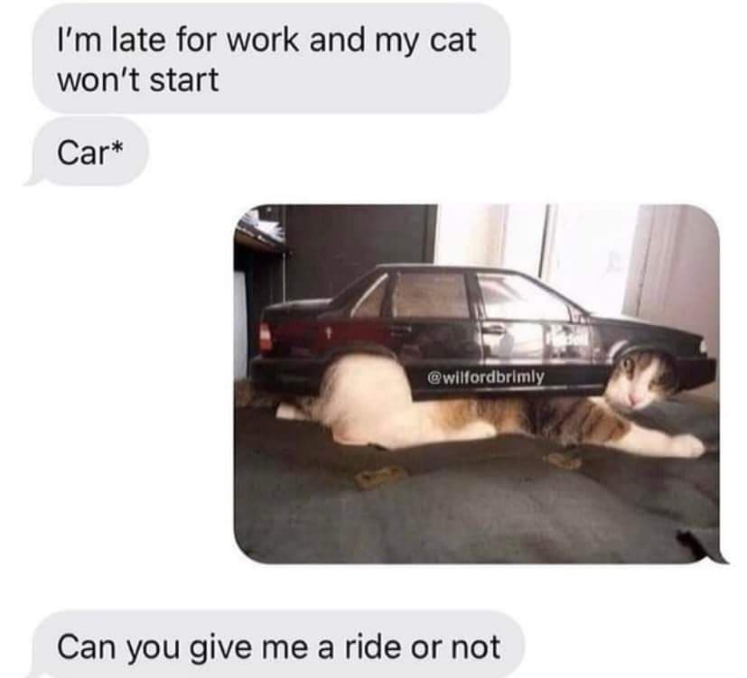 1847039945_CatWontStart.jpg.4eef3d6f723e74a2f2b449b7a8b9e765.jpg