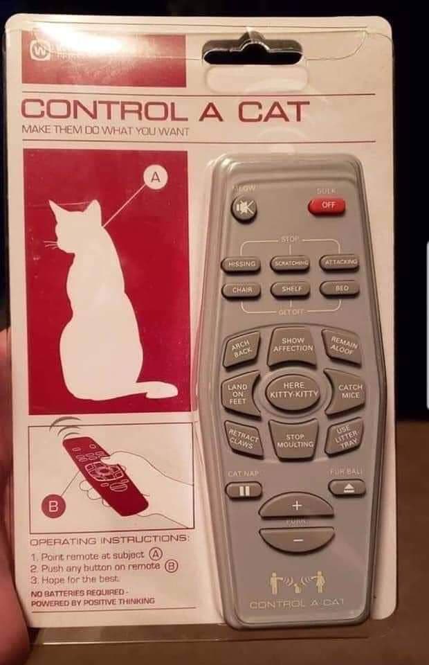CatController.jpg.c426ebc3c6623386ac12a0f2adf567eb.jpg