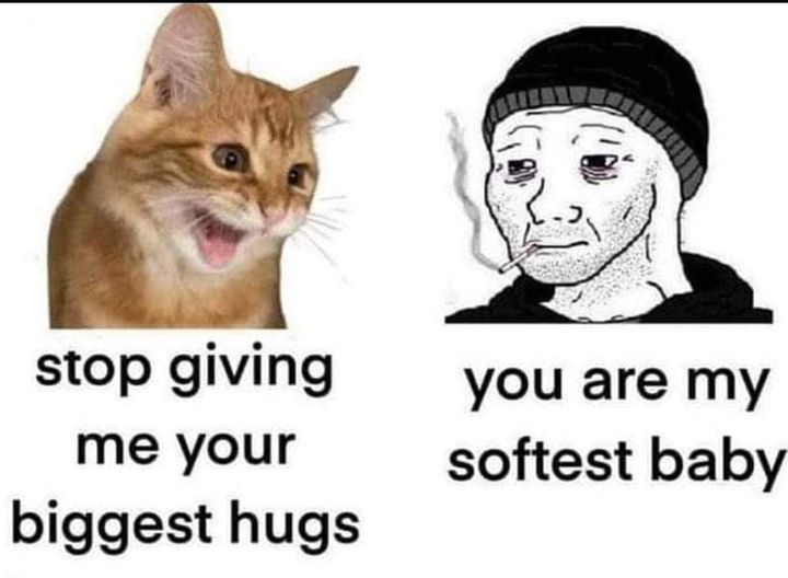 CatHugSoft.jpg.d9aac777acb7e076e0fa5496fa1276d4.jpg