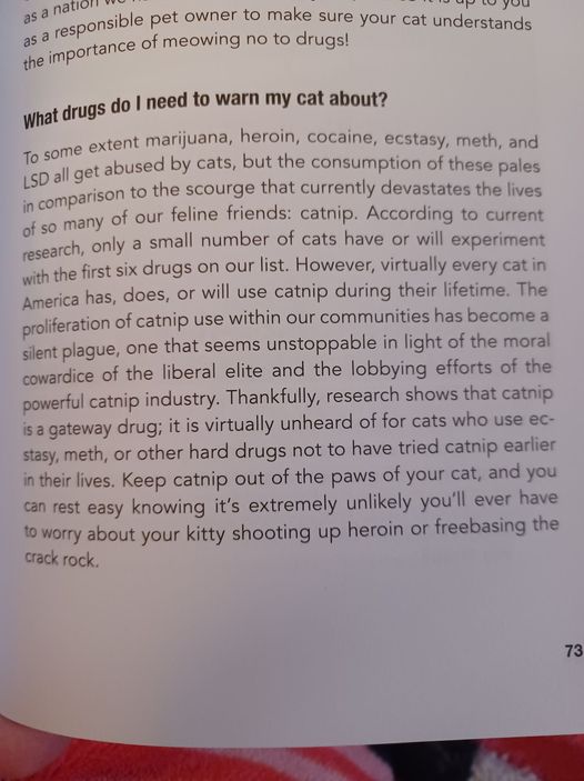 CatNip.jpg.e449bd58aa0759b0c20e51bf93e21e69.jpg
