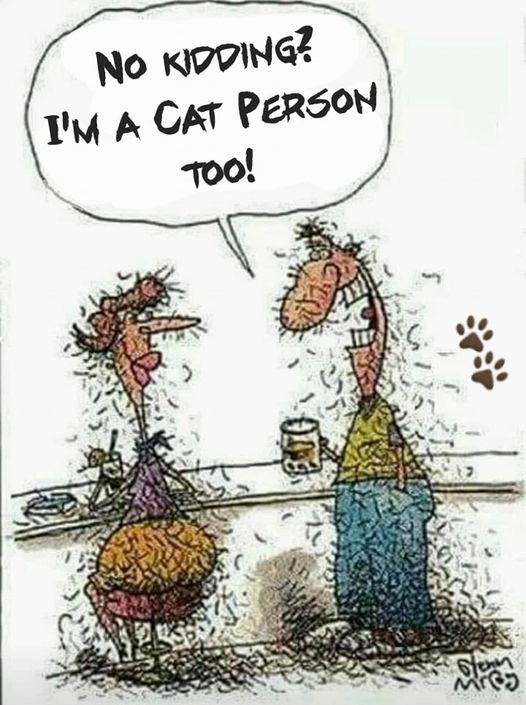 CatPeople.jpg.5ab14a63b022899408471b835bc4d4ac.jpg