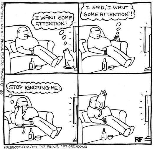 CatWantsAttention.jpg.f32de1e378da7e6fc9c8a715fdc963f1.jpg