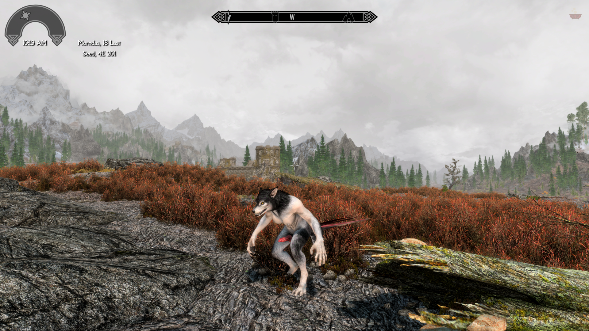 ScreenShot13.png