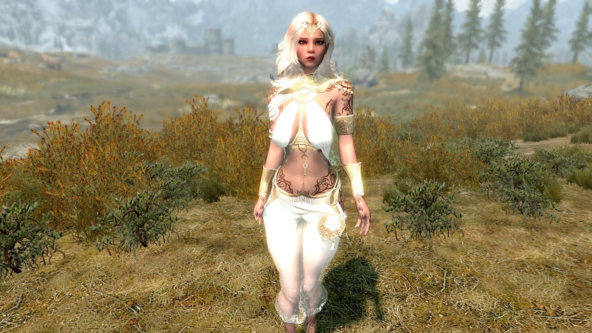 SkyrimSE_2022_09_21_10_34_52_393.jpg