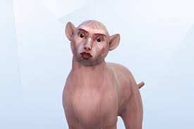 image.jpeg.761966421aa13a43cdf50302341d13ef.jpeg