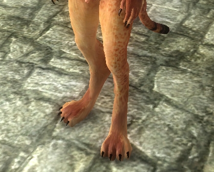 khajiitmale.jpg