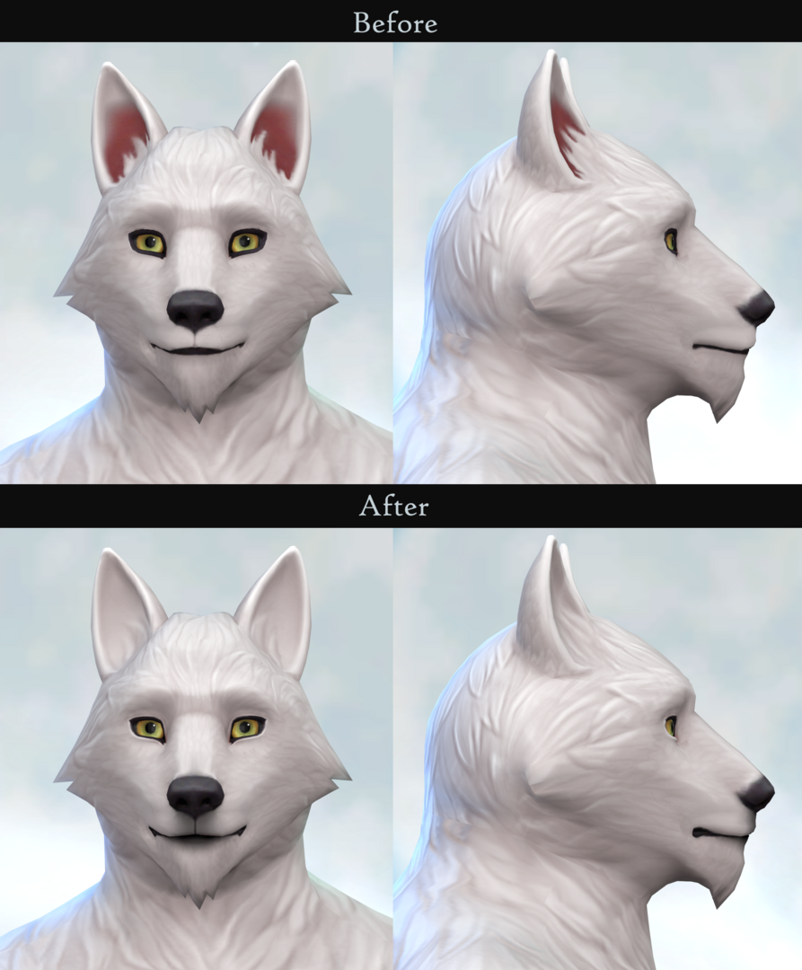 skincompare.png