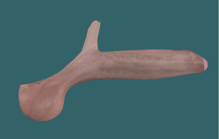 stretch.png.9207ef57b1cce42d10c2dcee9ccc5df3.png