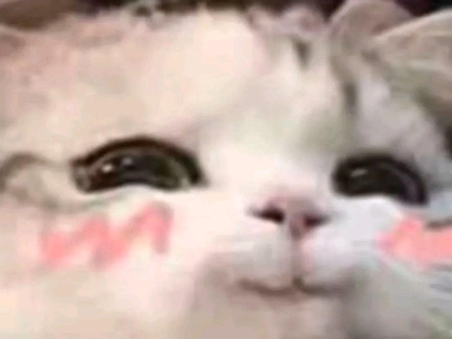 347f720953d43990.png.dcabc62ecbc726c37541f371857796bc.png