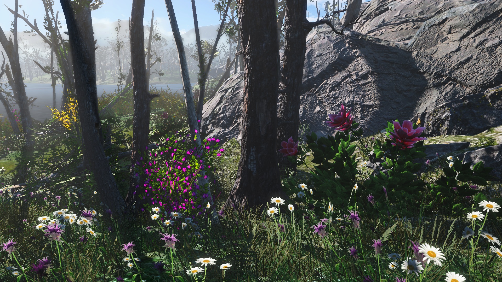 Fallout4_Kapitel_02_02.jpg.59ade7decf6a64c4a7ef85529bbb9703.jpg