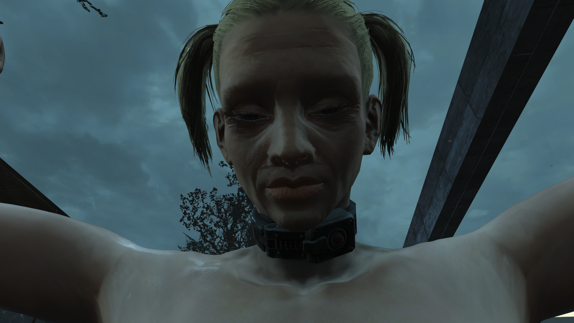 Photo78.png
