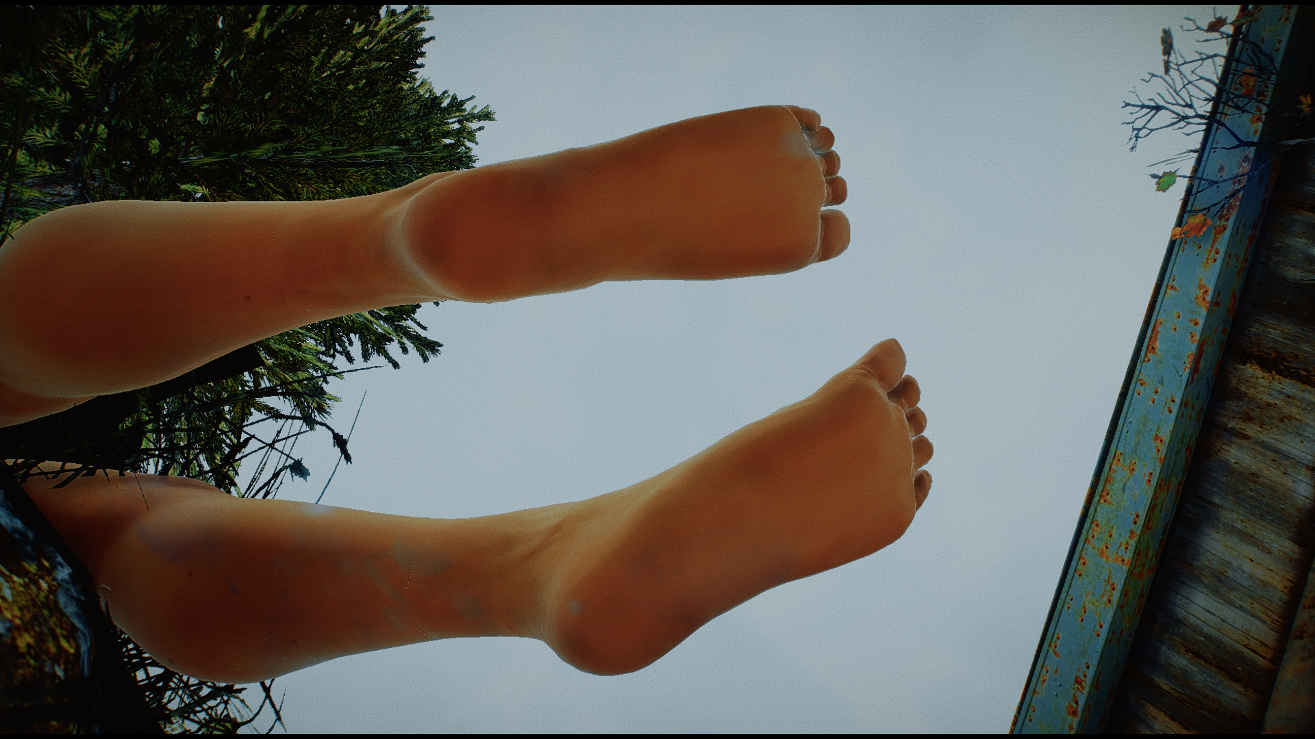 Photo9416.png.ad2f1f8cee78c21ff5a2bc7e319ace7b.png