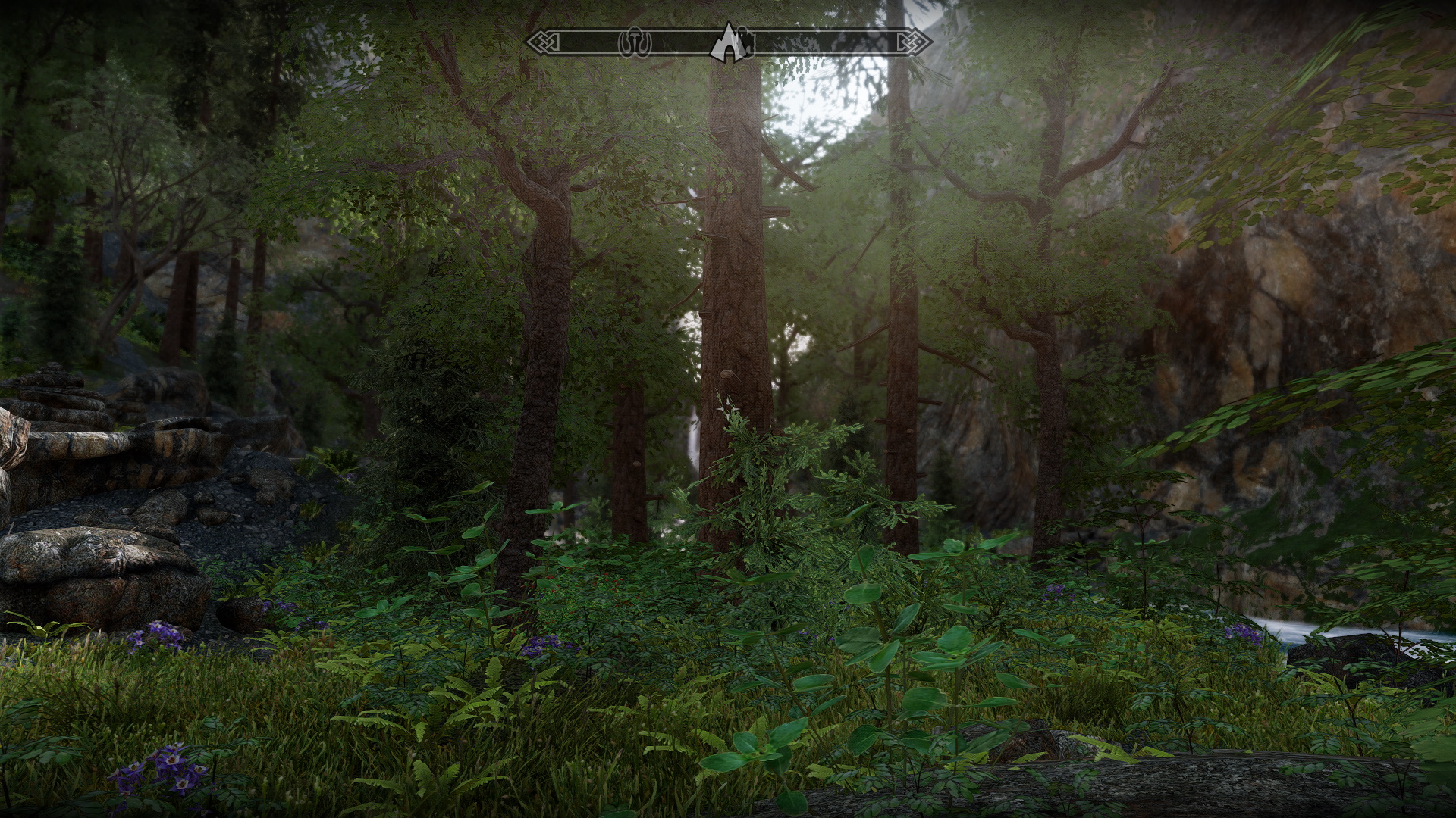 ScreenShot19.jpg.62cb527092084013d7ab8479261d18df.jpg